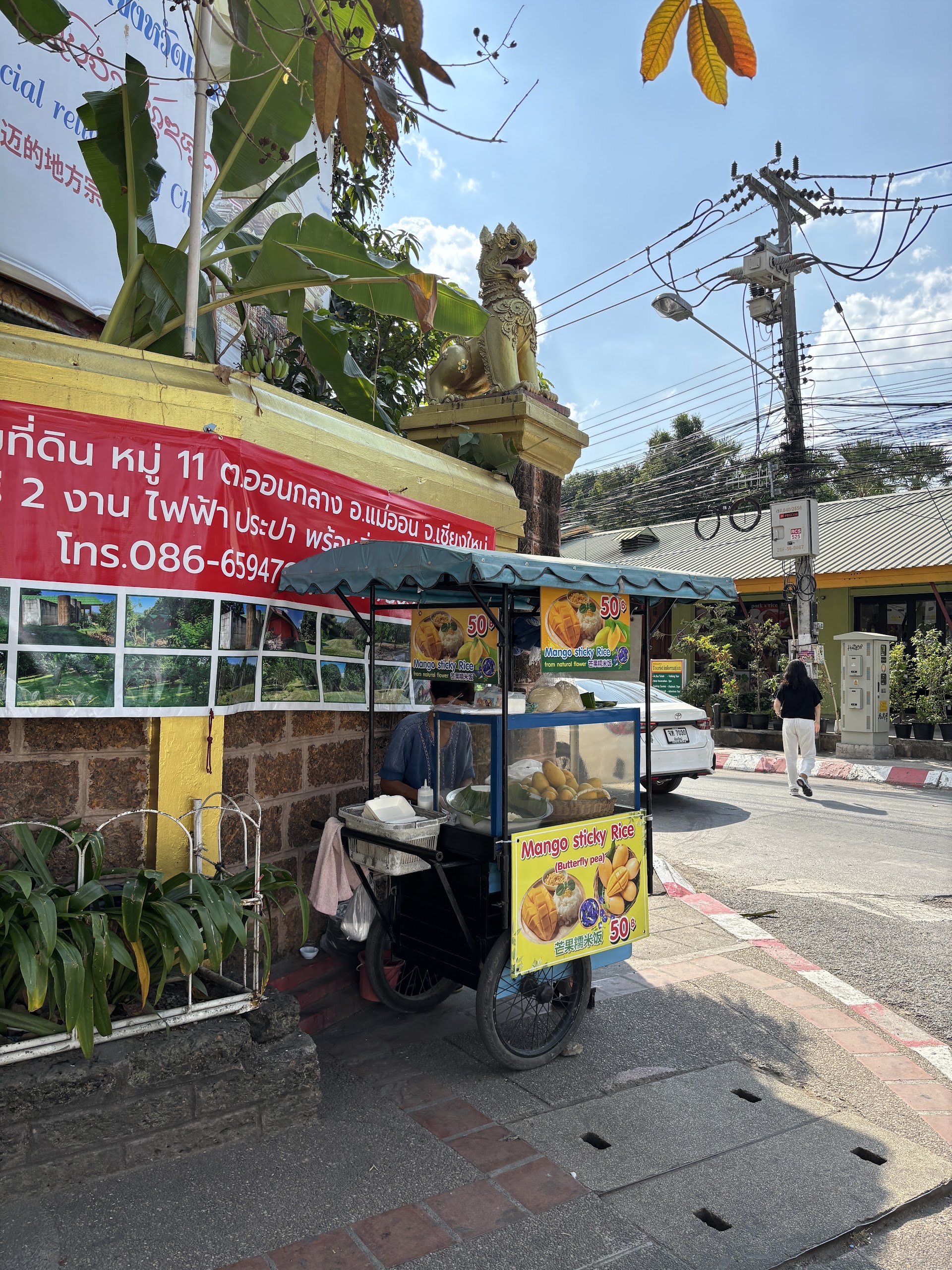 Chiang Mai à Noite: 7 Pratos de Rua que Ninguém Conta Antes de Você Ir